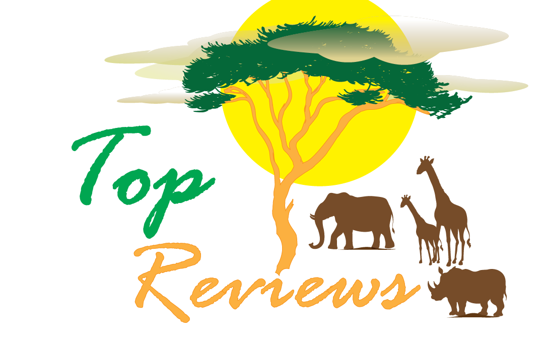 Top Reviews Logo